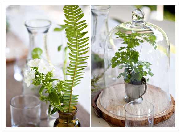 fern terrarium pewter